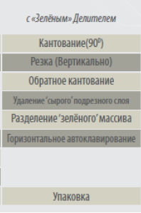 Конфигурация и технологические варианты заводов АГБ фирмы ЯНЖУ. 5